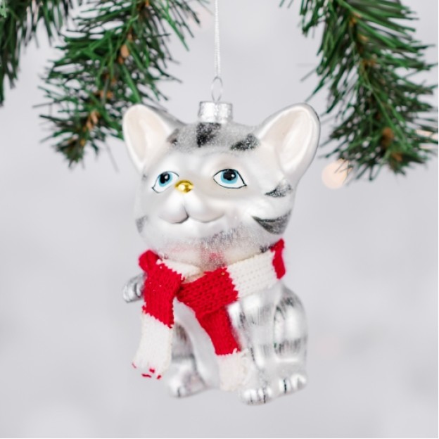 JucArie brad NICECAT