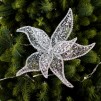Jucarie brad CHRISTMASFLOWER SMALL