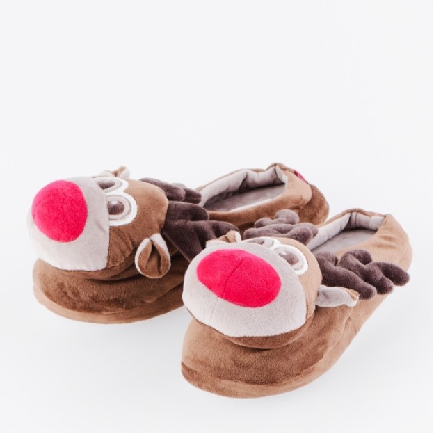 Ciupici DEER2