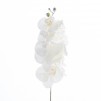 Crenguta decorativa FROZEN ORCHID