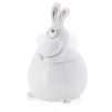 Container Iepuraș FURBUNNY NEW