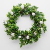 Coronita Boxwood