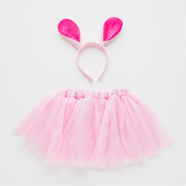 Costum bunny