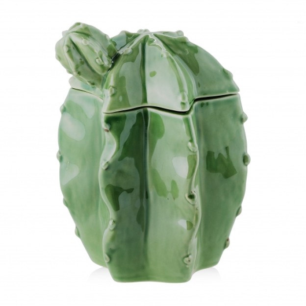 container  CACTO