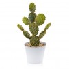 compozitie florala WIRECACT