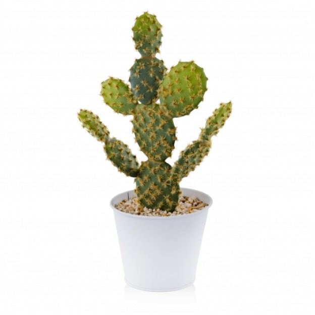 compozitie florala WIRECACT