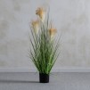 Compozitie florala  MISCANT