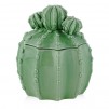 Container  CACTIONI