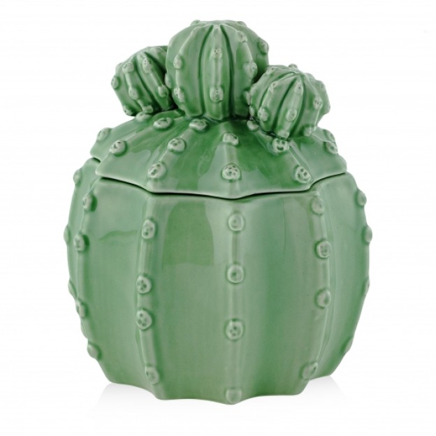 Container  CACTIONI