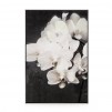 Tablou ORCHIDES
