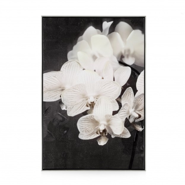 Tablou ORCHIDES