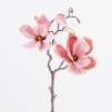 Floare decorativă magnolie Magno Small