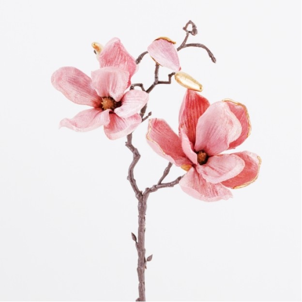 Floare decorativă magnolie Magno Small