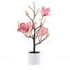 Compozitie florala magnolie magnotree small
