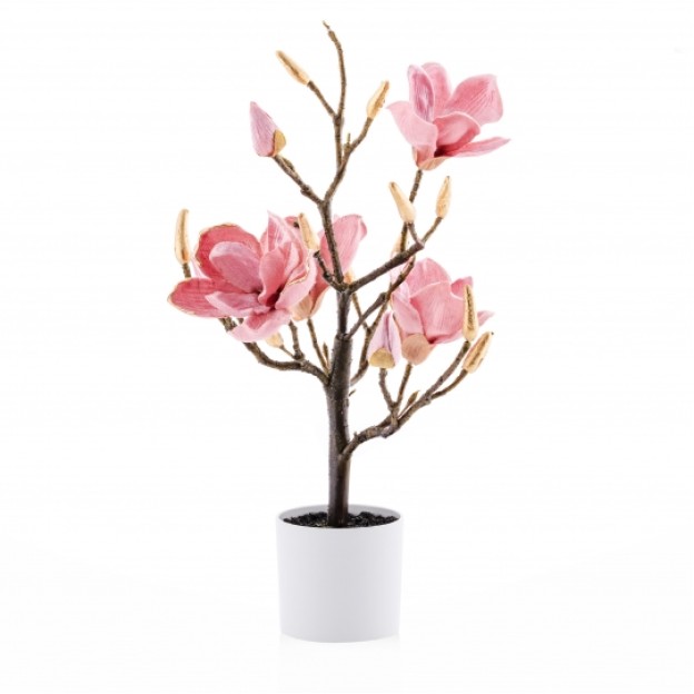 Compozitie florala magnolie magnotree small