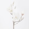 Floare decorativa magnolie Magnoss