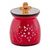 Set aromalampion GINGERLOVE