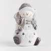 Decoratiune LED SNOWJOY