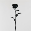 Floare decorativa ROSSART