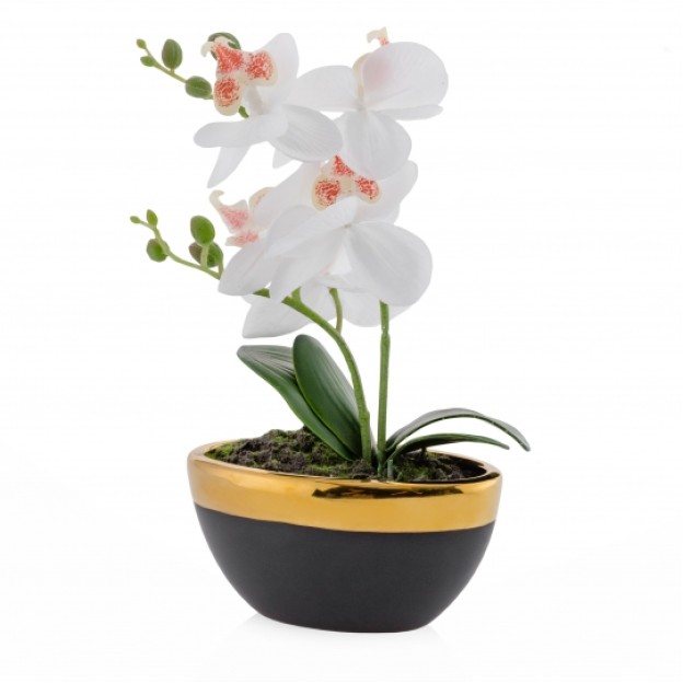 Compozitie florala orchik