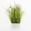 Floare decorativa grassland