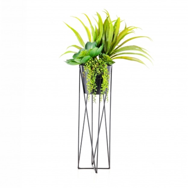 compozitie florala SUCULEG