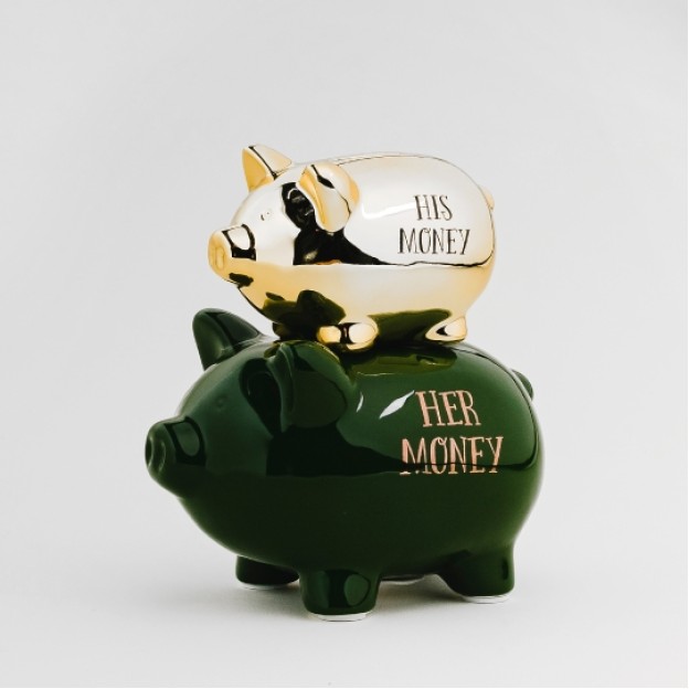Pusculita-porcusor THEIR MONEY