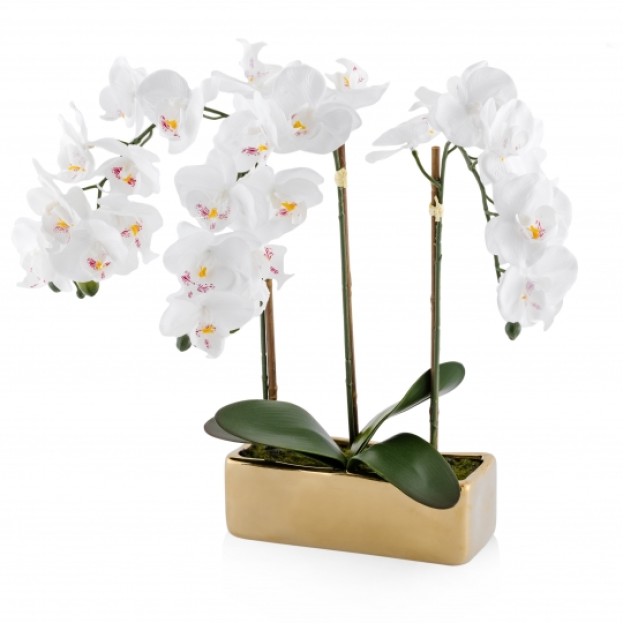 Floare decorativa orhidee orchianum