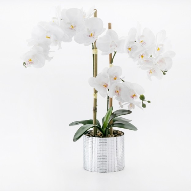 Floare decorativa orchidisco