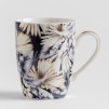 Cana-flori xotics