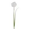Floare decorativa papadie Dandino
