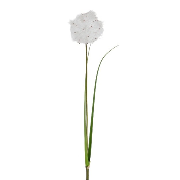 Floare decorativa papadie Dandino