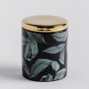 container AFROLIS