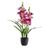 Floare decorativa orhidee orchenis