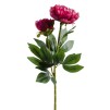 Floare decorativa bujor PIVOIN