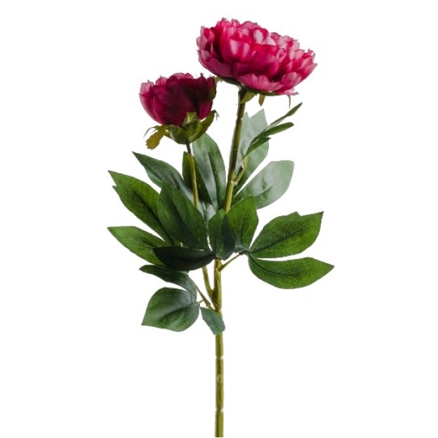 Floare decorativa bujor PIVOIN