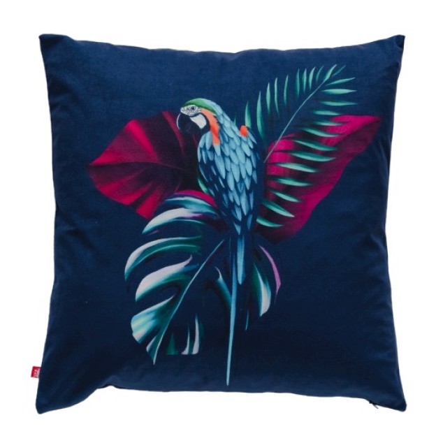 Husa perna Feraverti