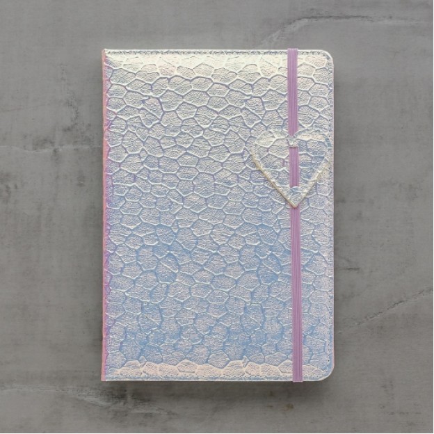 Agenda holo