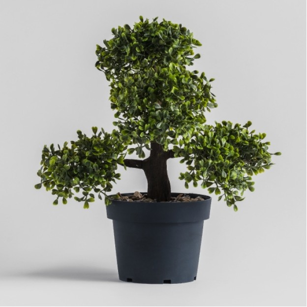 Floare decorativa bonsai