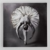 Tablou balerina Balletime