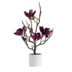 Compozitie florala magnolie magnotree small