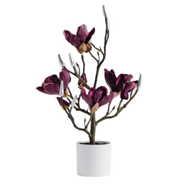 Compozitie florala magnolie magnotree small
