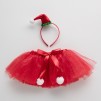 Costum SANTY