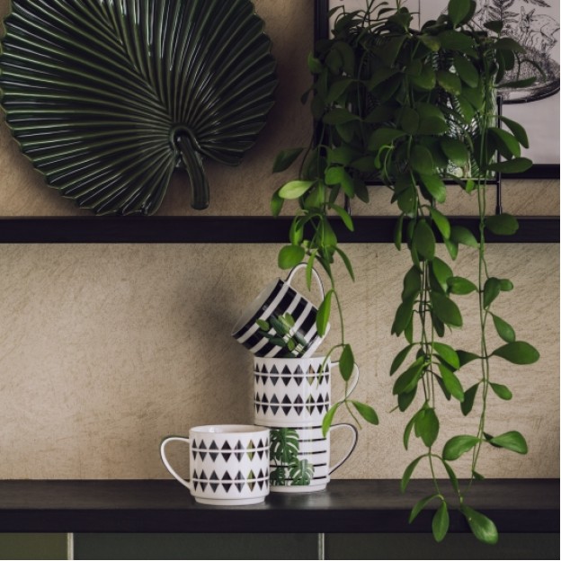 Set căni  PLANTER