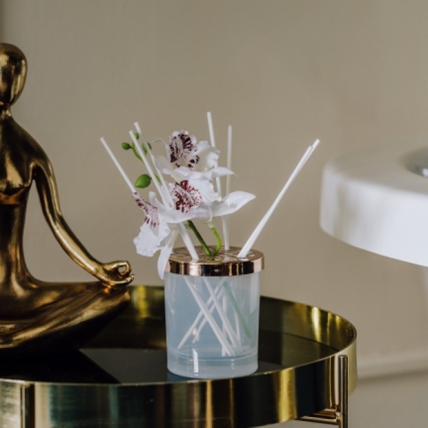 Difuzor de arome GAJA