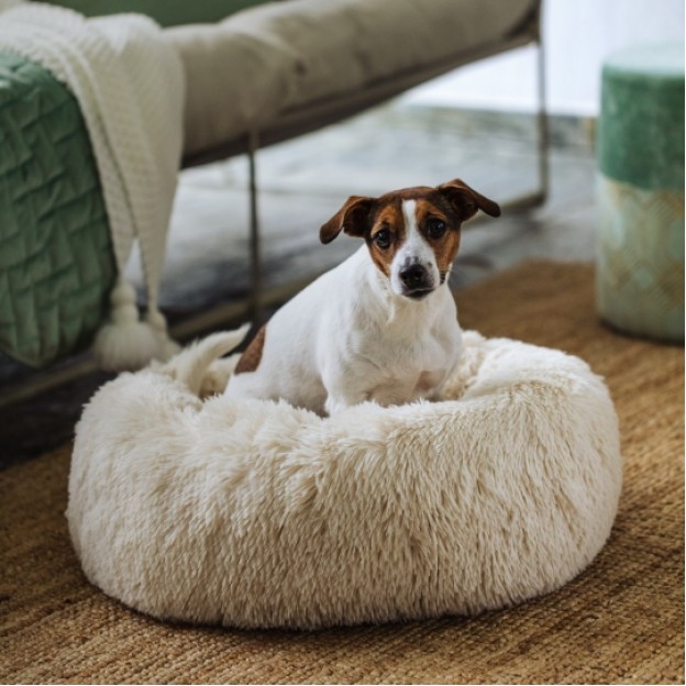 Casuta pentru animale dogonut