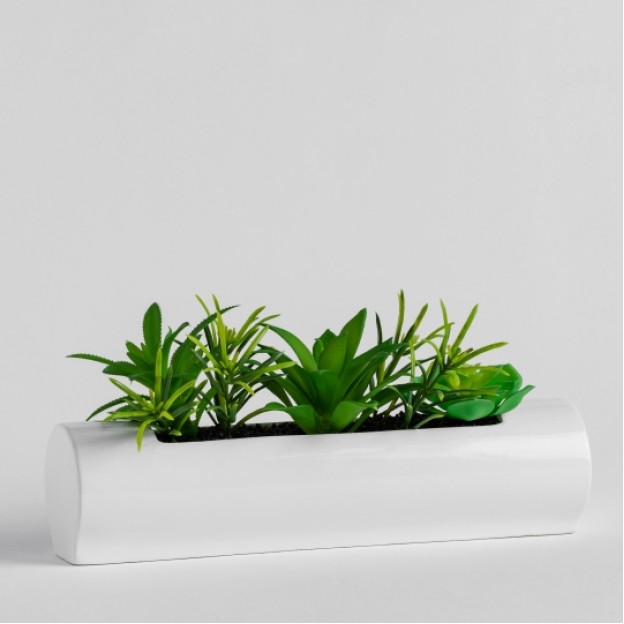 Floare decorativa suculines