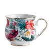 Cana tropic havaia