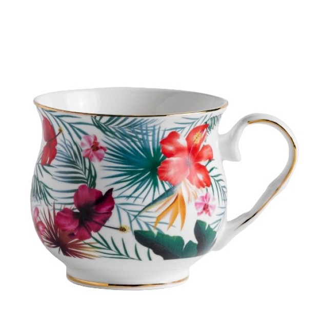 Cana tropic havaia