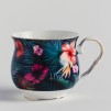 Cana tropic havaia